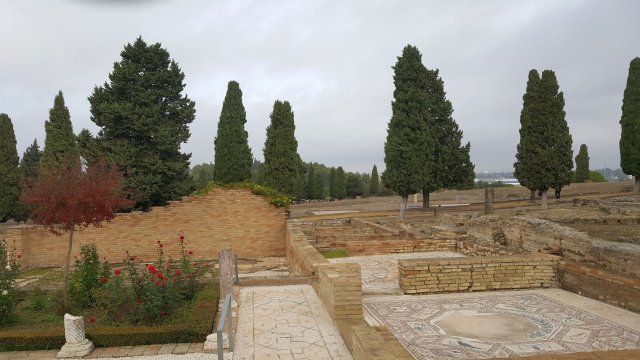 s392 italica